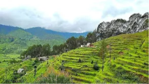 Sonanadi Wildlife Sanctuary